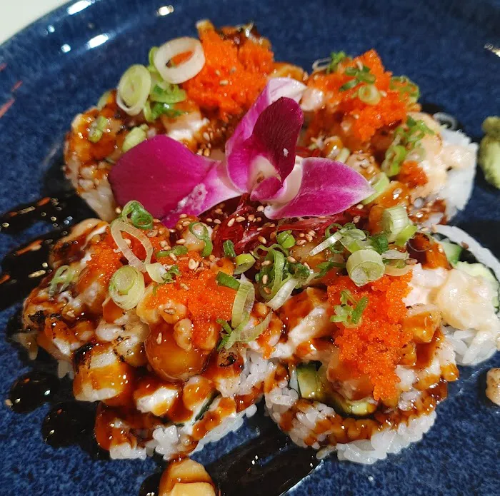 Hana Japanese Bistro Picture 6