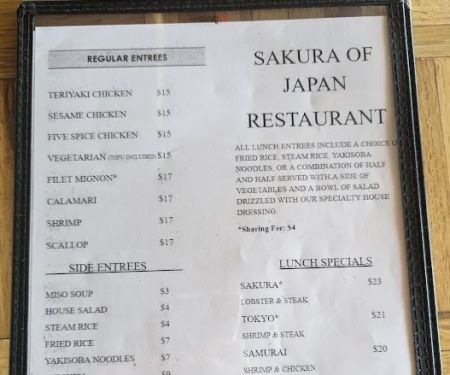 Sakura of Japan