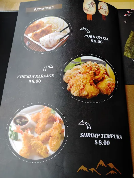 Fujiya Ramen Picture 7
