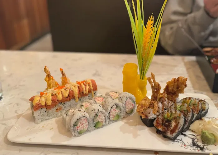 Wagaya Sushi & Grill Picture 3