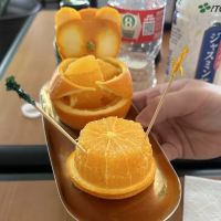 Sushibucks ico