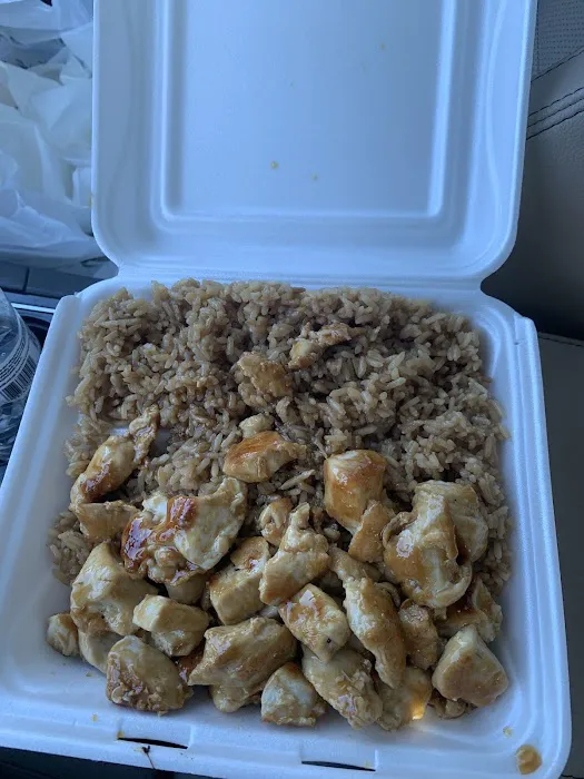 Teriyaki Express Picture 5