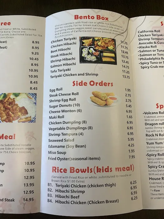 Teriyaki Express Picture 6