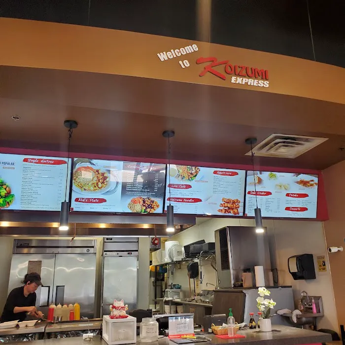 Koizumi Express Picture 6