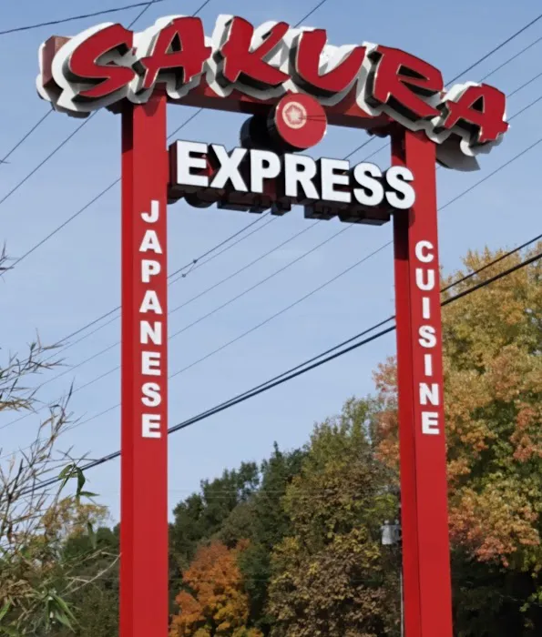 Sakura Express Picture 3