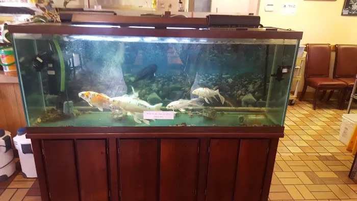 Osaki Japanese Restaurant Picture 6