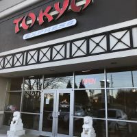 Tokyo Express ico