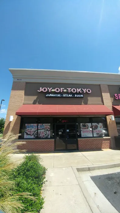 Joy of Tokyo Picture 10