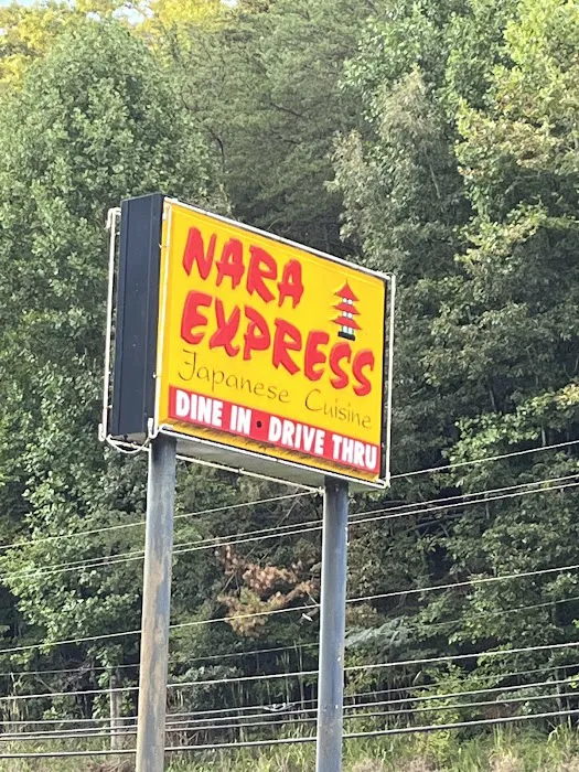 Nara Express Picture 7