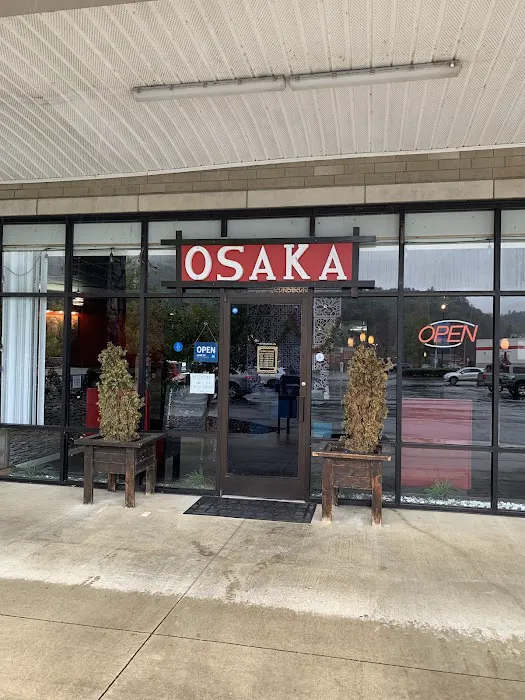 Osaka Sushi Bar and Asian Cuisine Picture 8