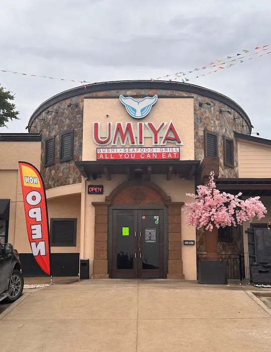 Umiya Sushi Picture 4