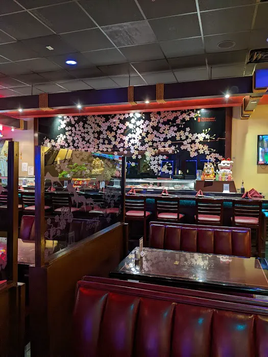 Nanami Sushi Bar & Grill Picture 4