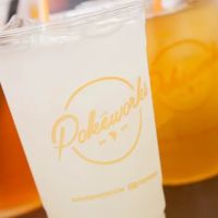Pokeworks ico
