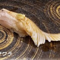 Sushi Tadokoro ico