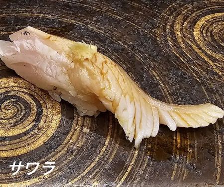 Sushi Tadokoro