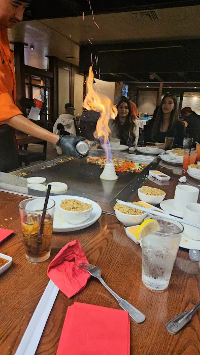 Shogun Restaurant Picture 4