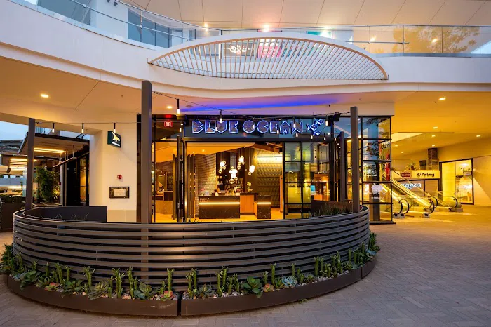 Blue Ocean Sushi & Grill Picture 3