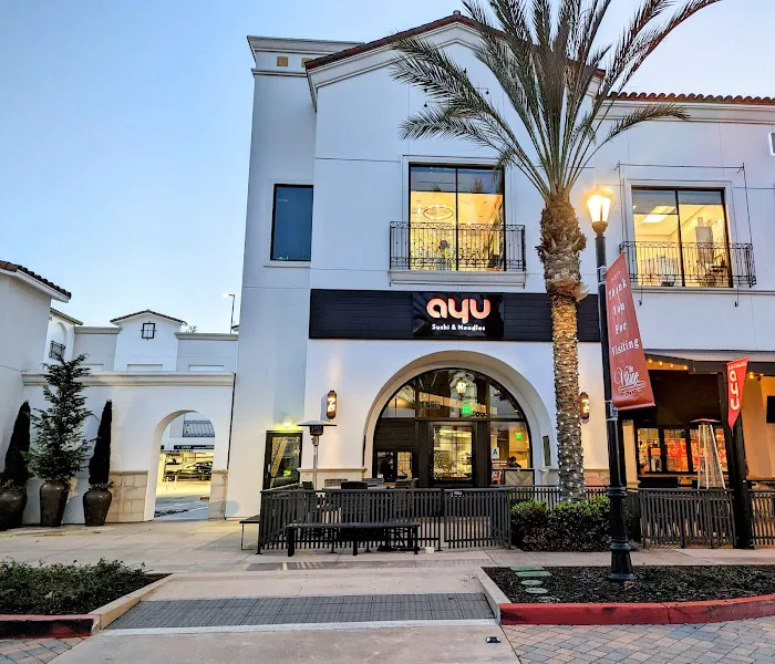 Ayu Sushi & Noodles Picture 2