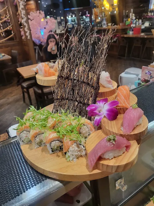 Boto Sushi Picture 3