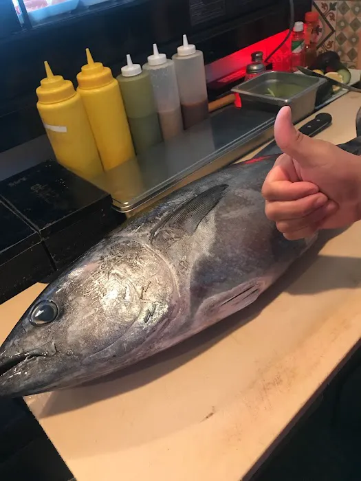 Sushi 4 Reel Picture 10
