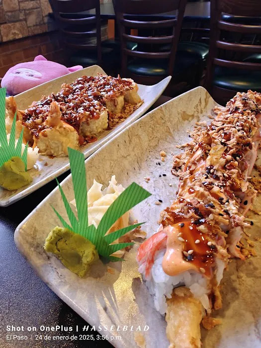 Sushi Garden Picture 7
