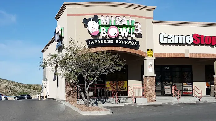 Mirai Bowl Picture 9