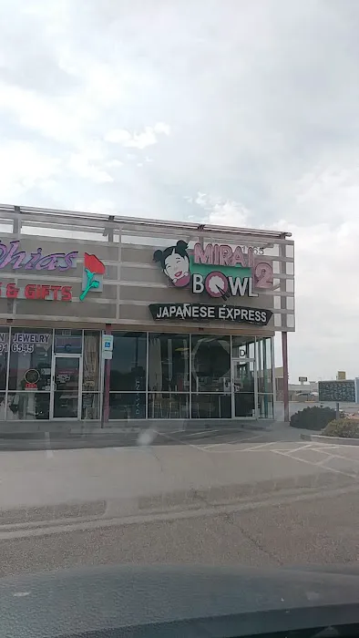 Mirai Bowl Picture 4