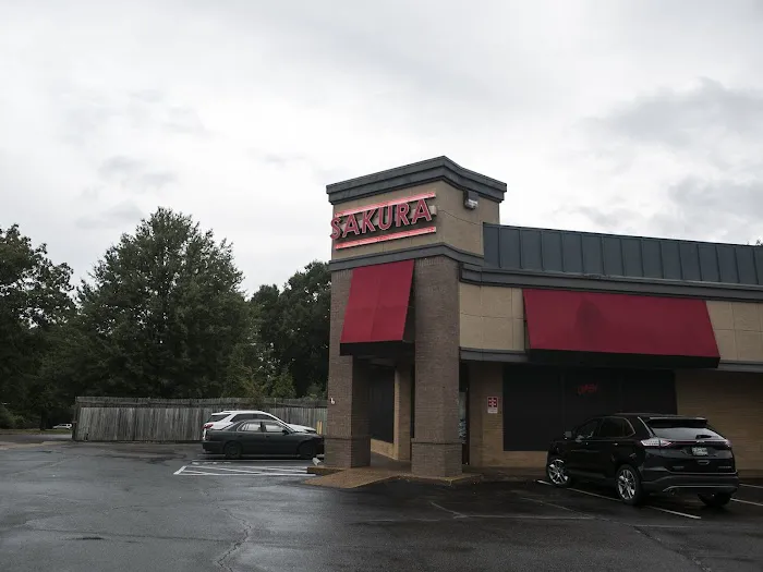Sakura Japanese Restaurant - East Memphis Picture 4