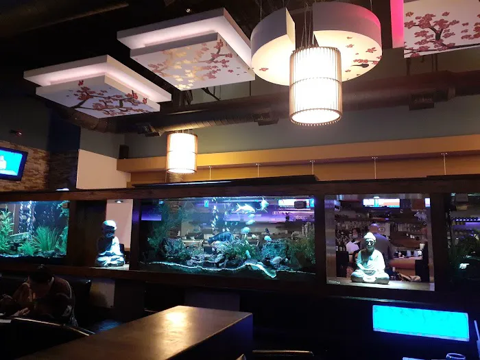 Urban Japanese Fusion - Olive Branch Picture 8