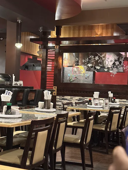 Osaka Japanese Cuisine Picture 9