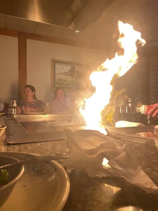 Shogun Japanese Steakhouse Picture 5