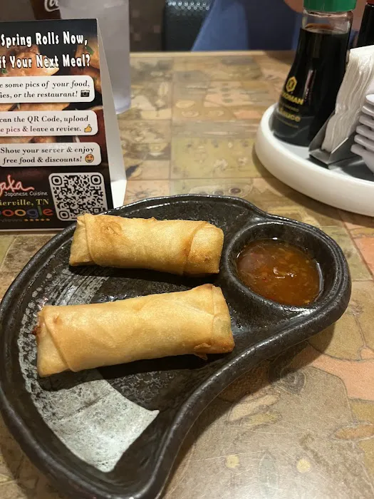 Osaka Japanese Cuisine Picture 6