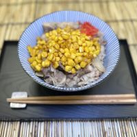 Gyushin Beef Bowl ico