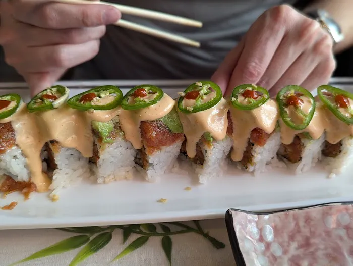 The Sushi Picture 4