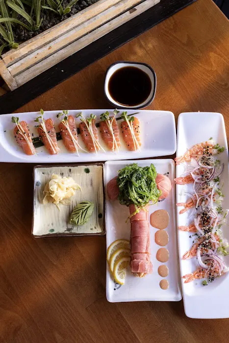 Sushi Mon Sahara Picture 10