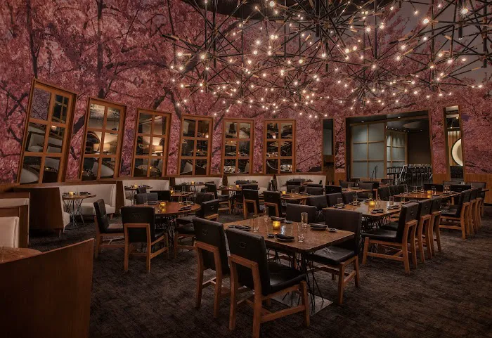 KUMI Japanese Restaurant + Bar Picture 5