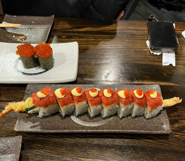 Rocket Sushi Picture 7