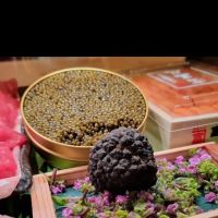 Hakashi Japanese Sushi Bar & Grill ico