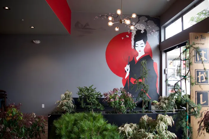 Hakashi Japanese Sushi Bar & Grill Picture 9