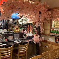 Toyama Japanese Restaurant ico