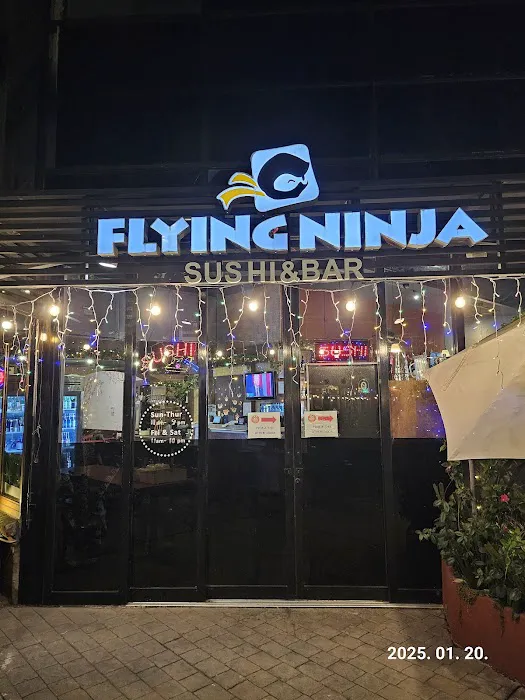 Flying Ninja Picture 1