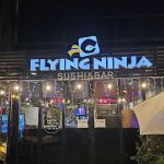 Flying Ninja