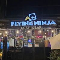 Flying Ninja ico