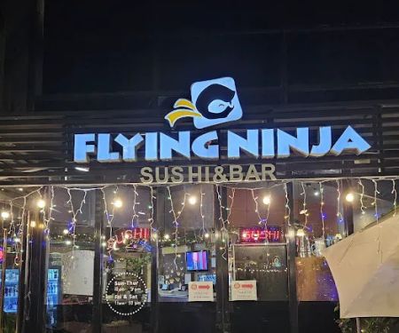 Flying Ninja