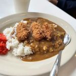 Nippon Curry San Francisco