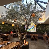 HINODEYA Ramen Chestnut ico