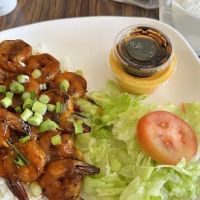 Orange Teriyaki Restaurant ico