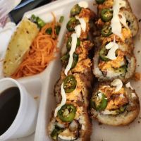 Sushinaloa ico
