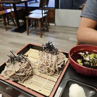 Han Nam Udon & Sushi ico