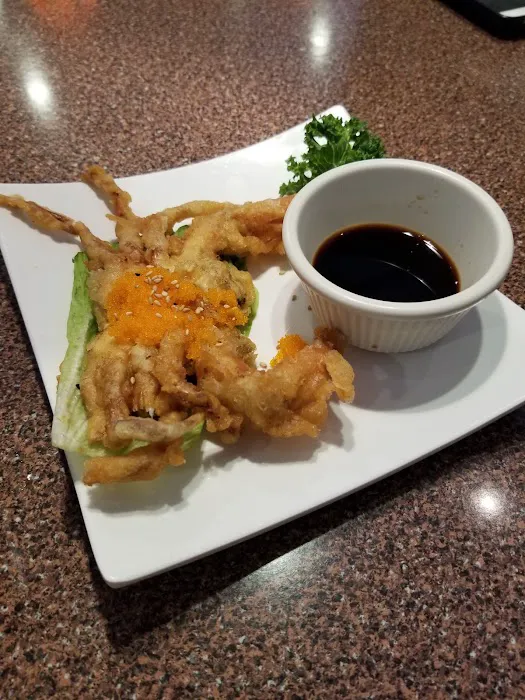 Sushi Gallery Picture 7